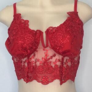 Red Lace Bustier Crop Top Sheer Embroidered Bralette Y2K Coquette 2X pinup